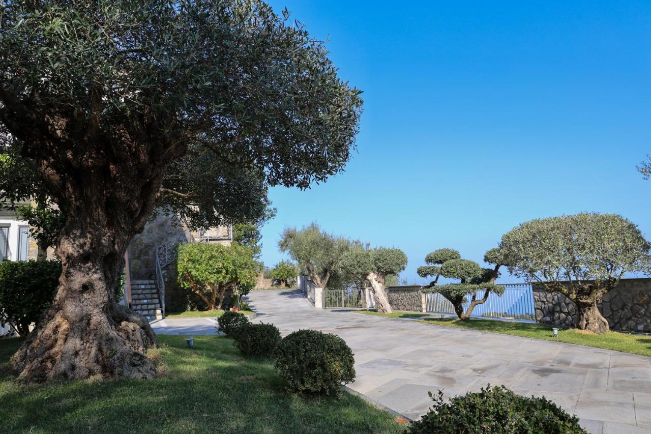 Villa Italia Sorrento Termini Kültér fotó