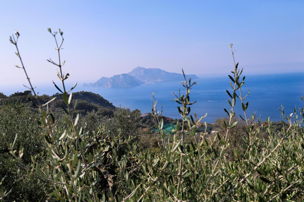 Villa Italia Sorrento Termini Kültér fotó